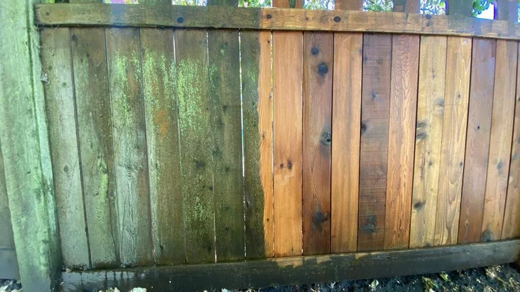 Pressuring washing this fence before staining!