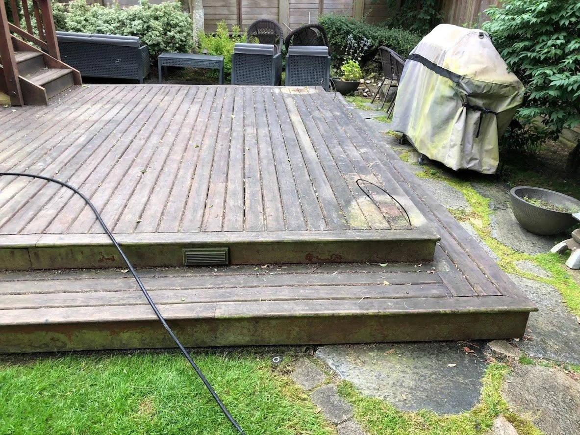 Before ... look how dirty and mossy it is!