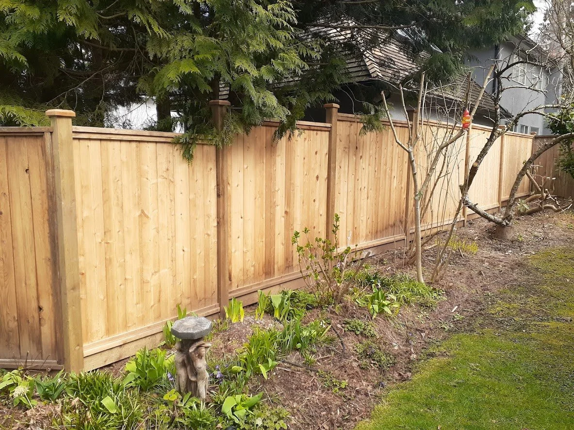 The new fence they had built that we stained after waiting for the wood to green!