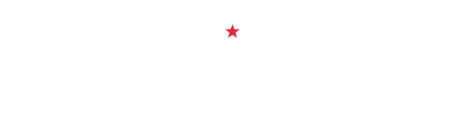 City council icon