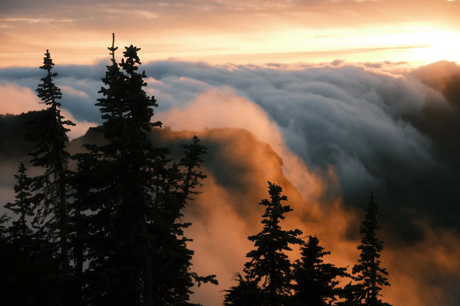 DSCF9504.webp