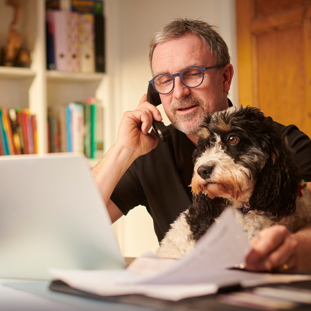 Pet Health Ecommerce Promo