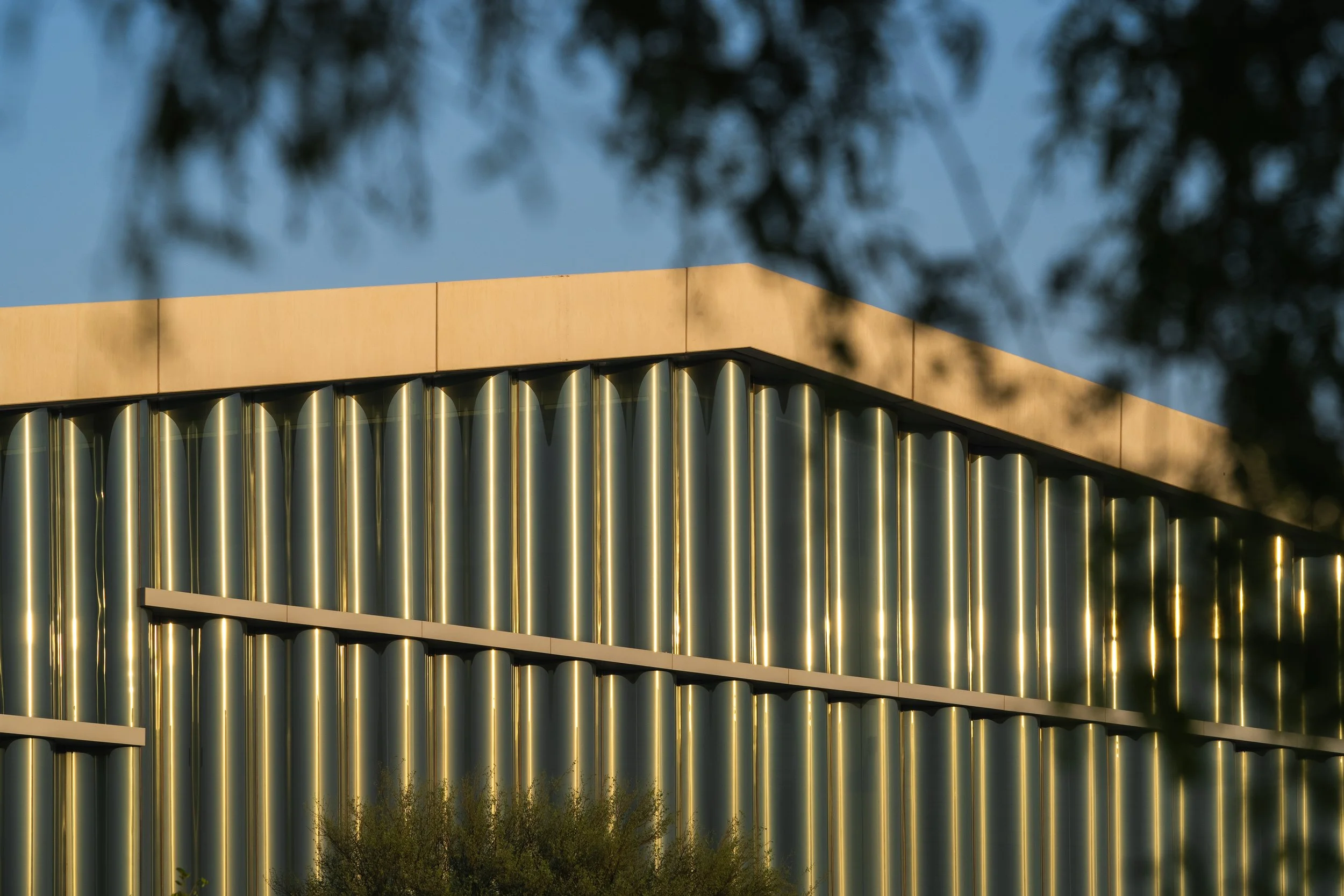 A modern building with vertical metal fins on its exterior wall, illuminated with strip lighting, viewed through tree branches against a dusk sky.