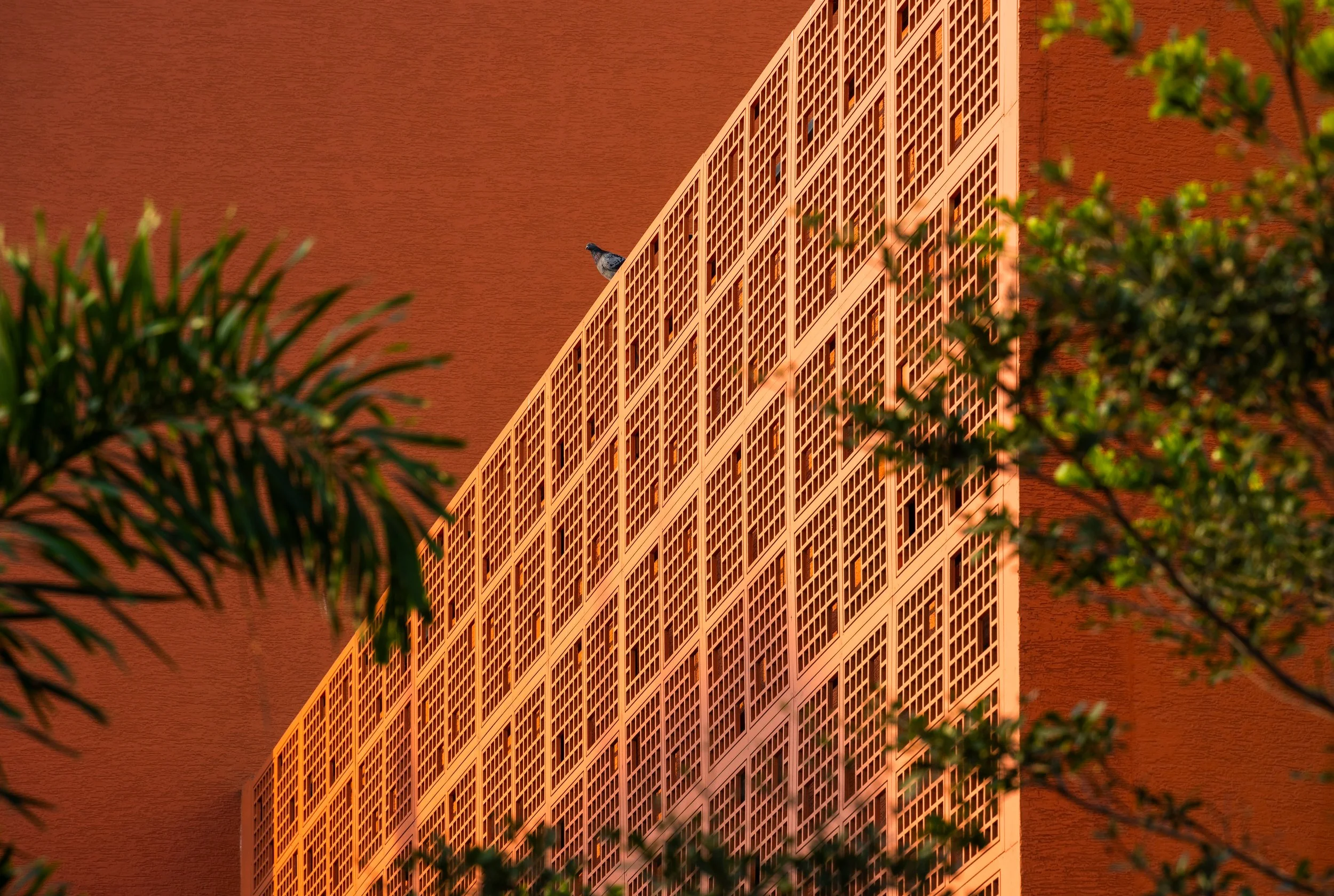 A building with a curved facade has a pigeon perched near its top, surrounded by tree branches in the foreground, with a red brick wall background.
