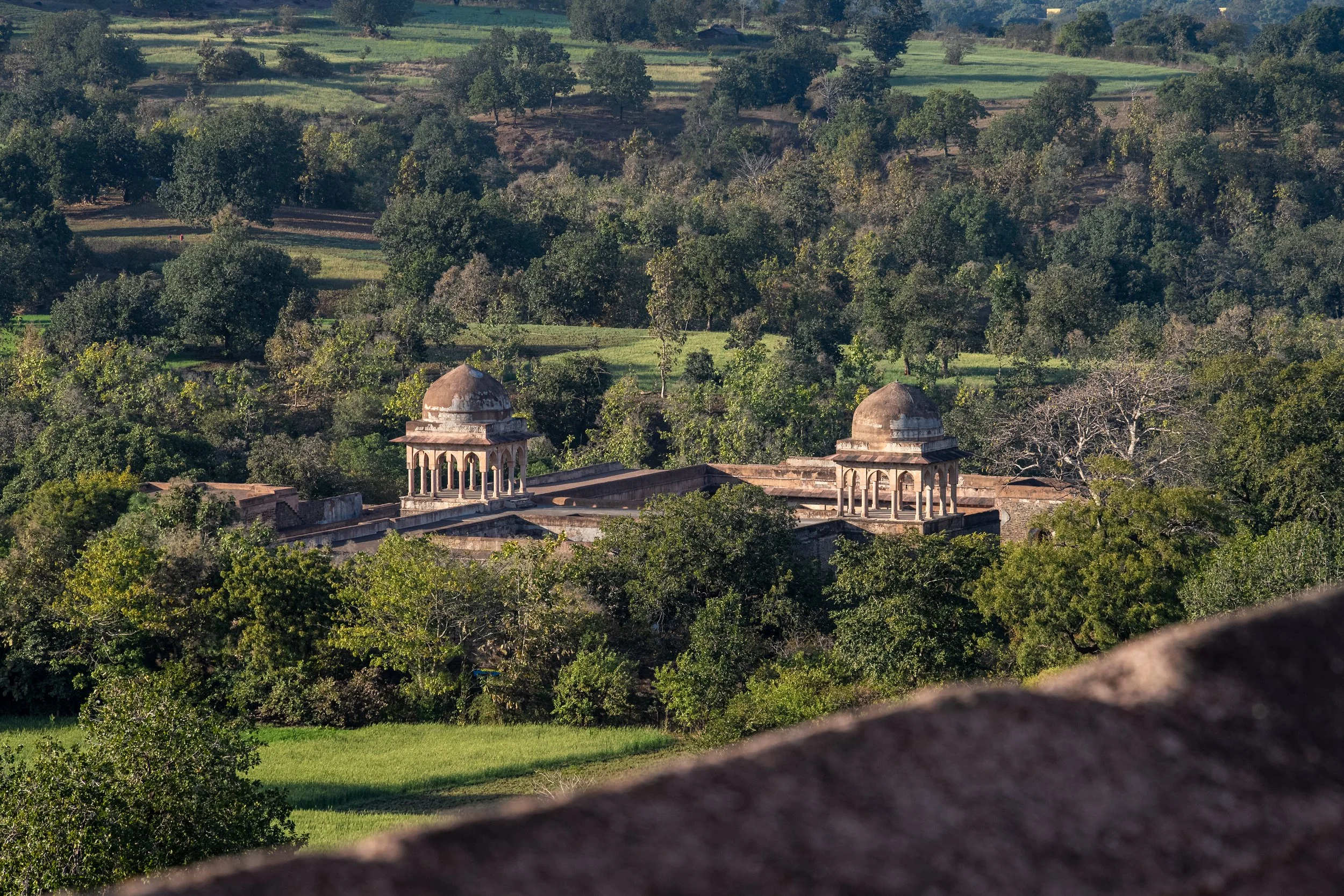 Aerial view of lush green landscape with scattered trees and a historic building with domed towers in the foreground.