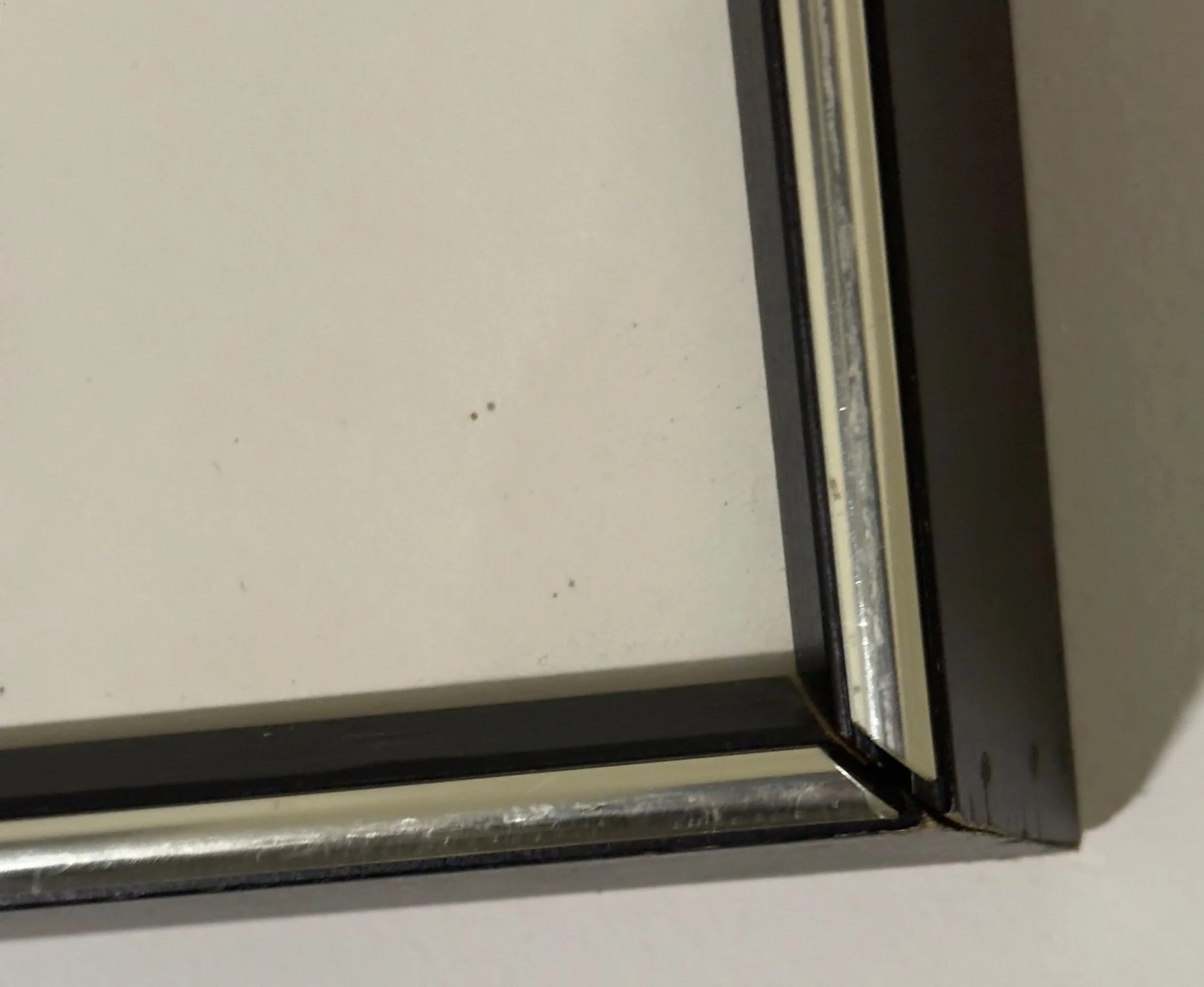 Print - 08 - Lower Frame Condition.jpg