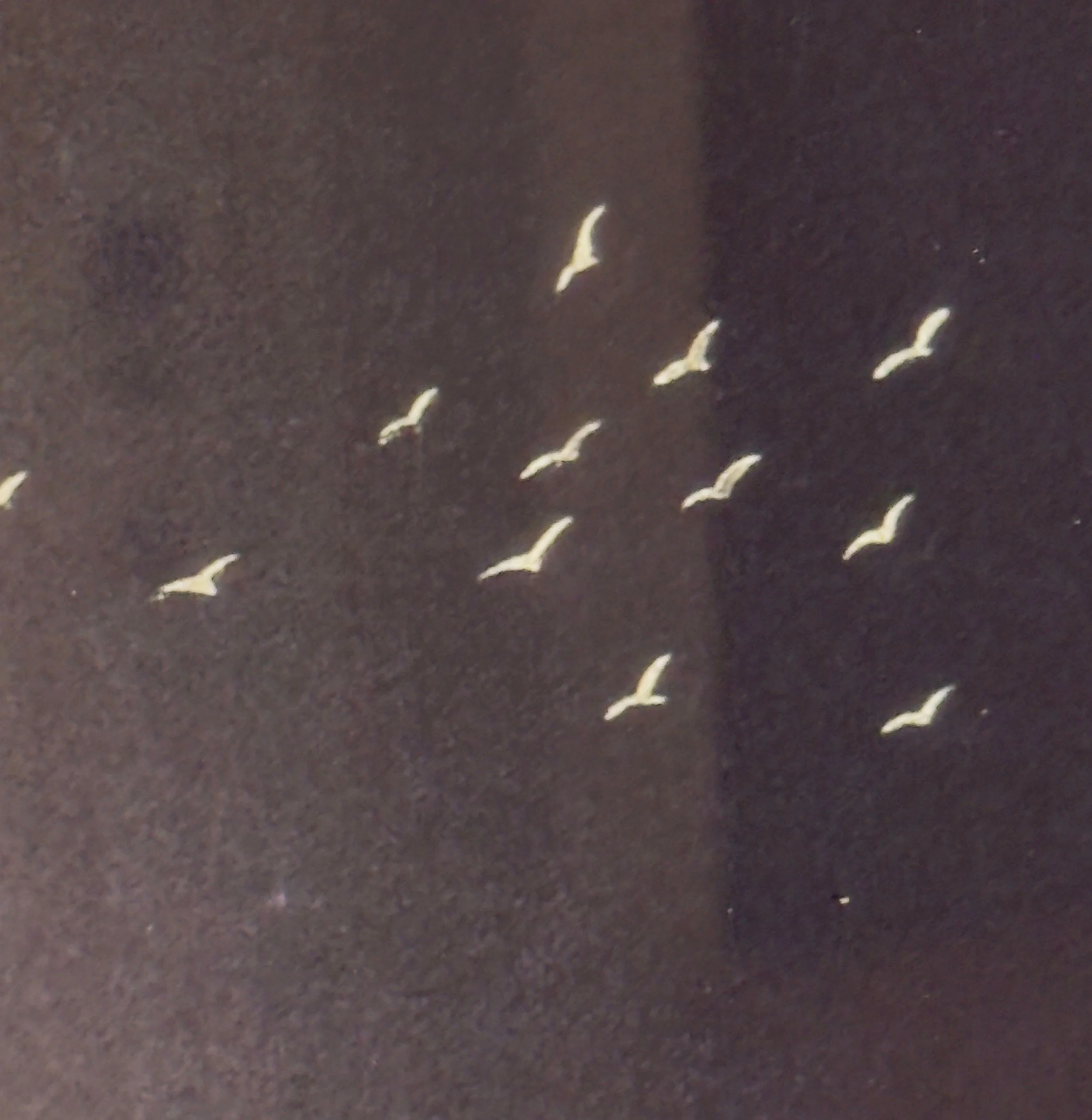 Normandie - 15 - Birds Detail.jpg