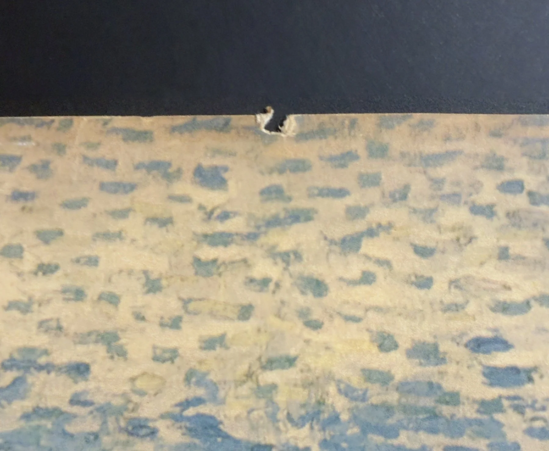 van-gogh-peach-trees-in-blossom-upper-edge-detail.jpg