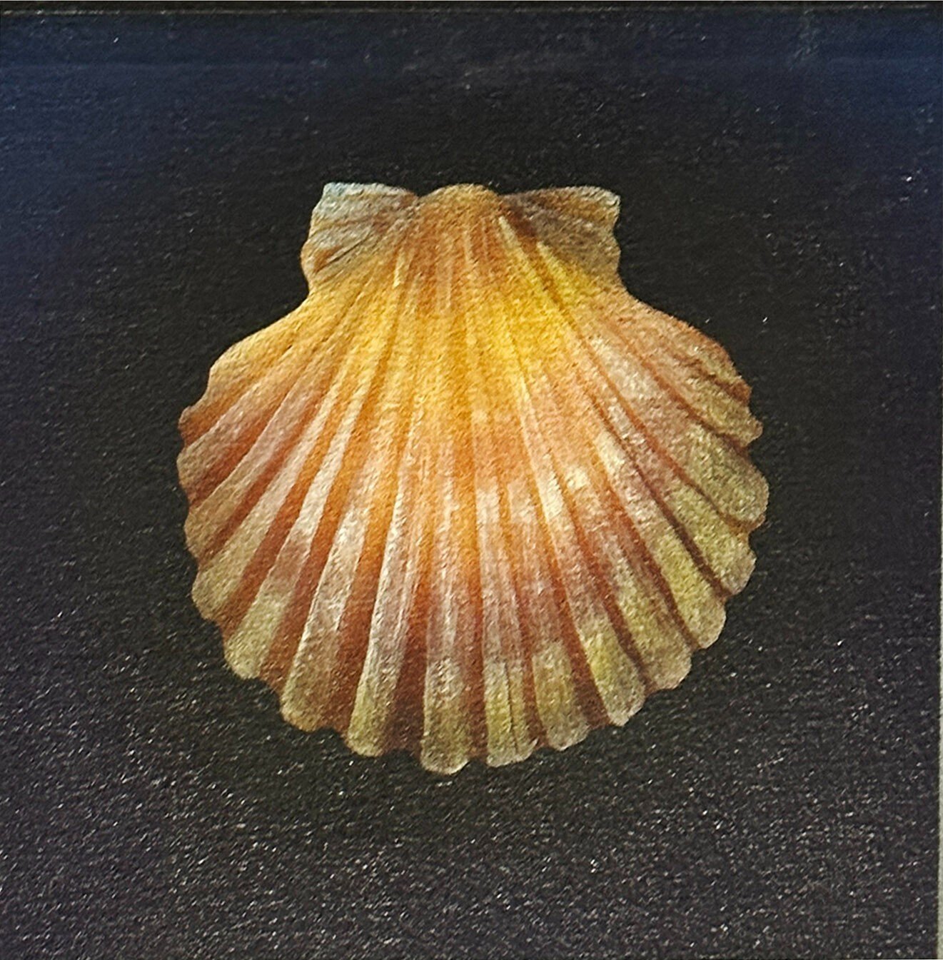 s-l1600.jpg