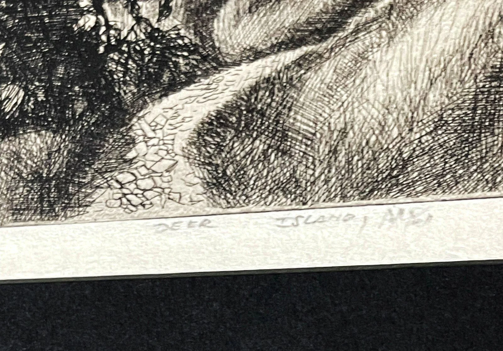 s-l1600.jpg