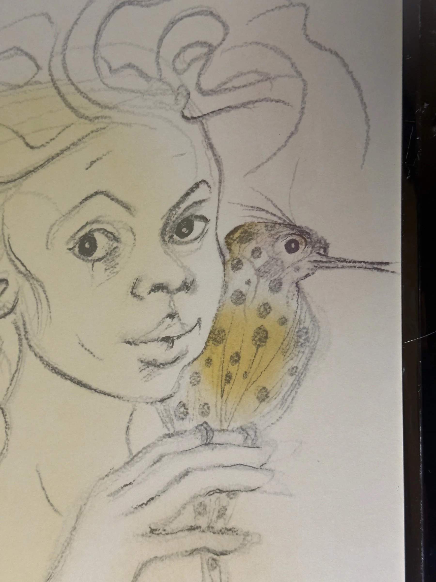 02-face-and-bird-detail.jpg