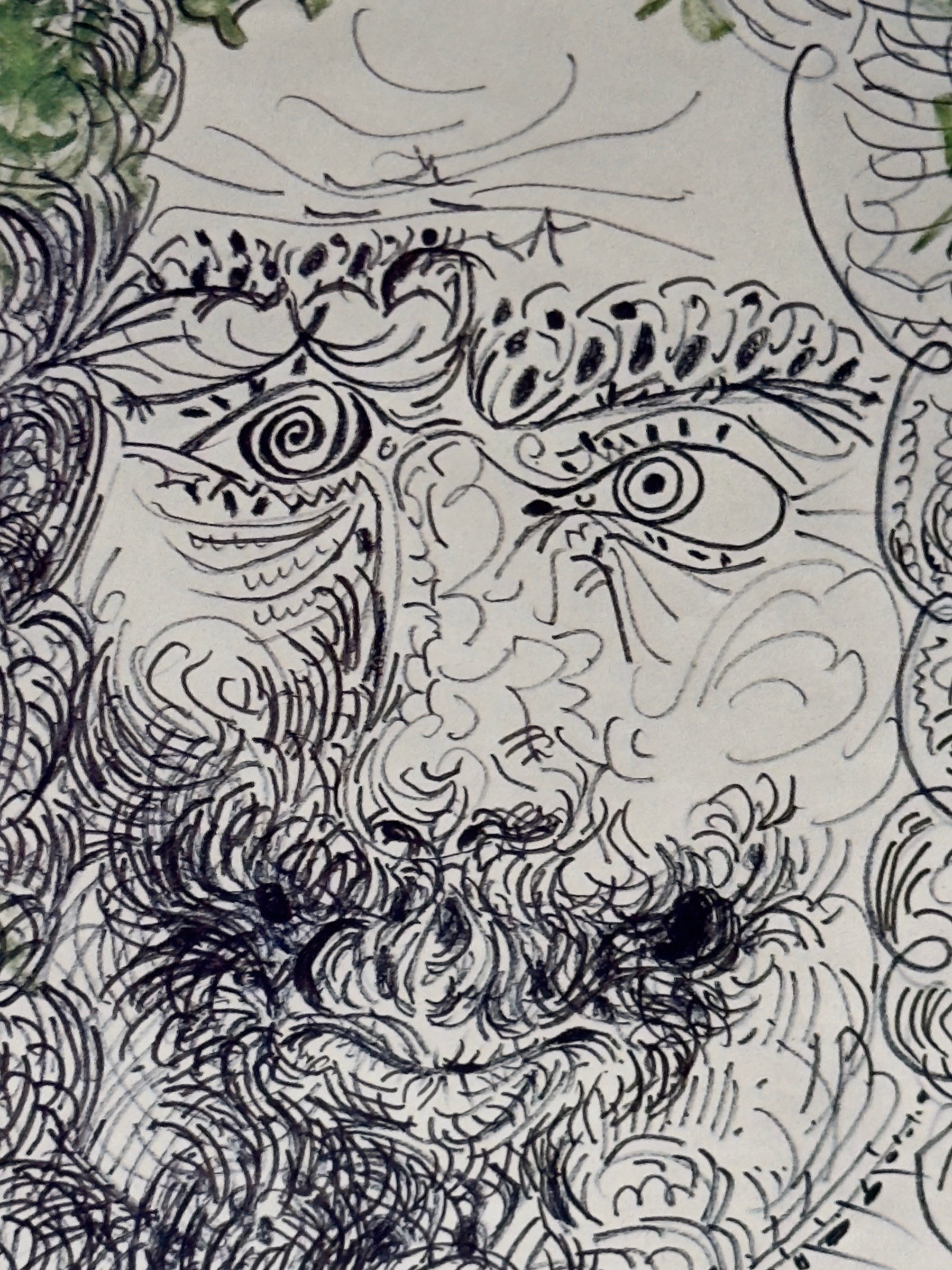 10-picasso-face-beard-detail.jpg