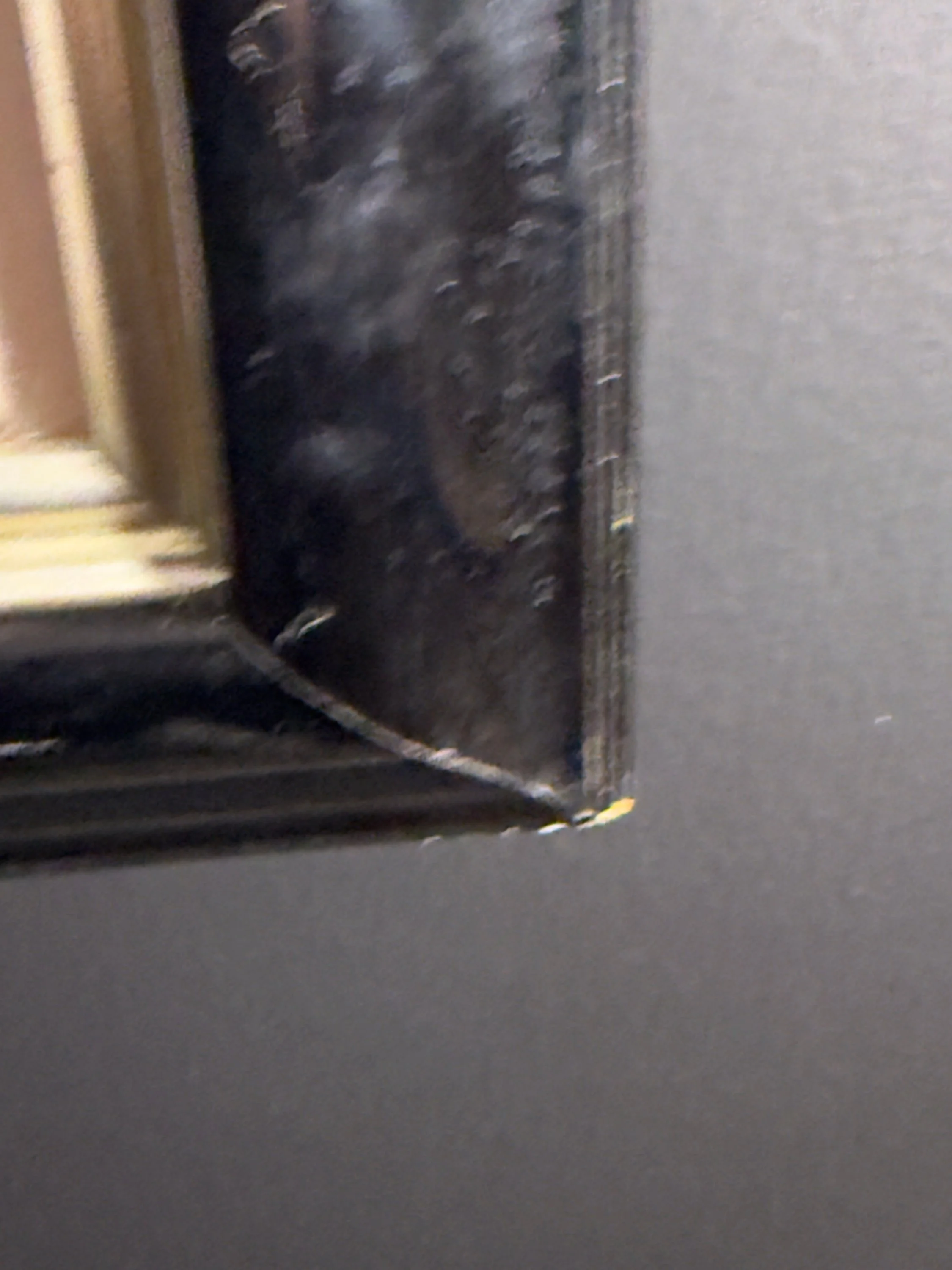 Erte - 14 - Frame Corner Wear.jpg