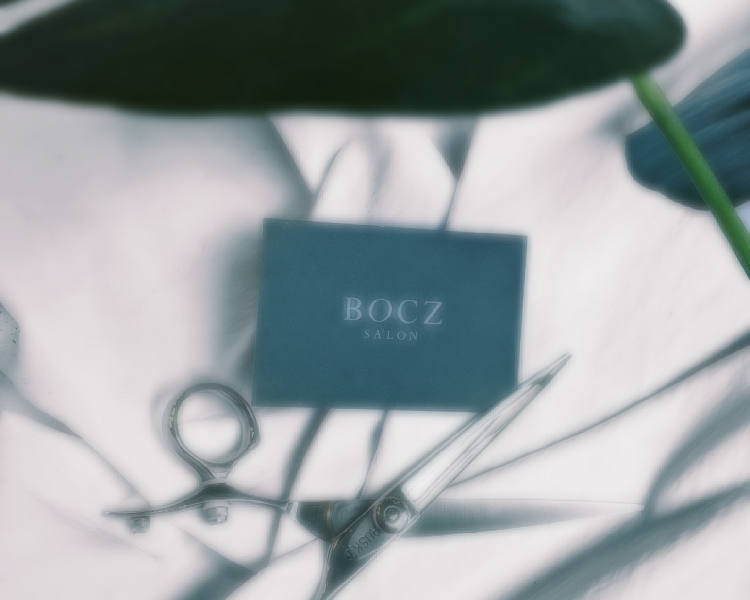 Bocz Salon