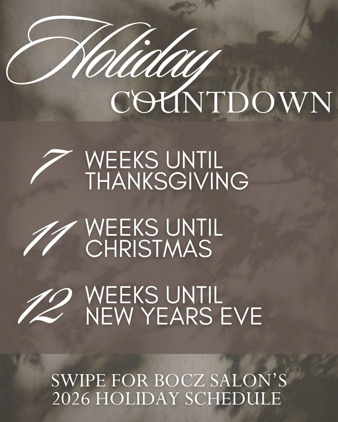 DO NOT WAIT TO BOOK YOUR HOLIDAY HAIR APPOINTMENTS!

Holidays spots are already booking up, and it is only October 7th! If you want your preferred day and time for appointments with your favorite stylist during our BUSIEST season, please book ahead o