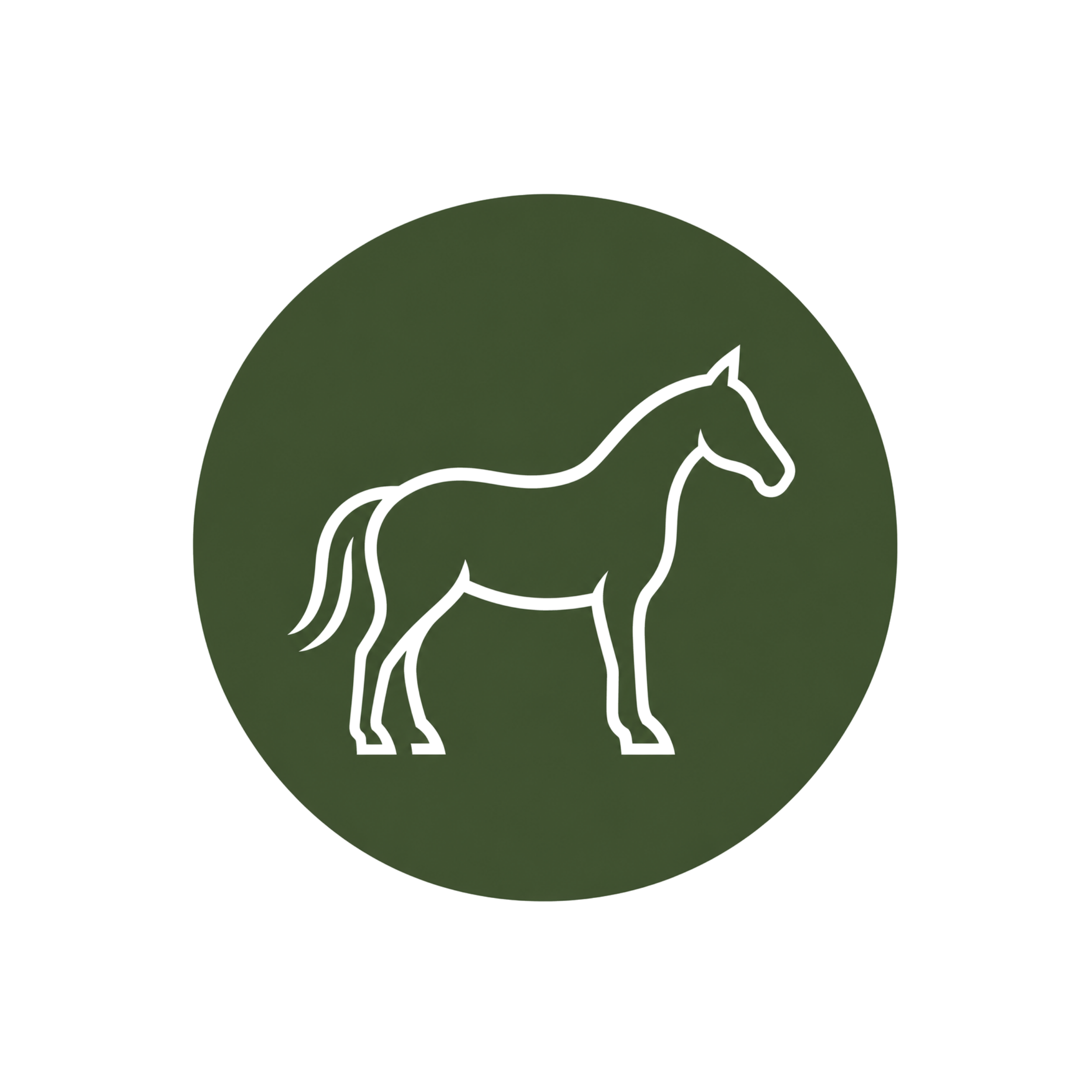 Equestrian icon
