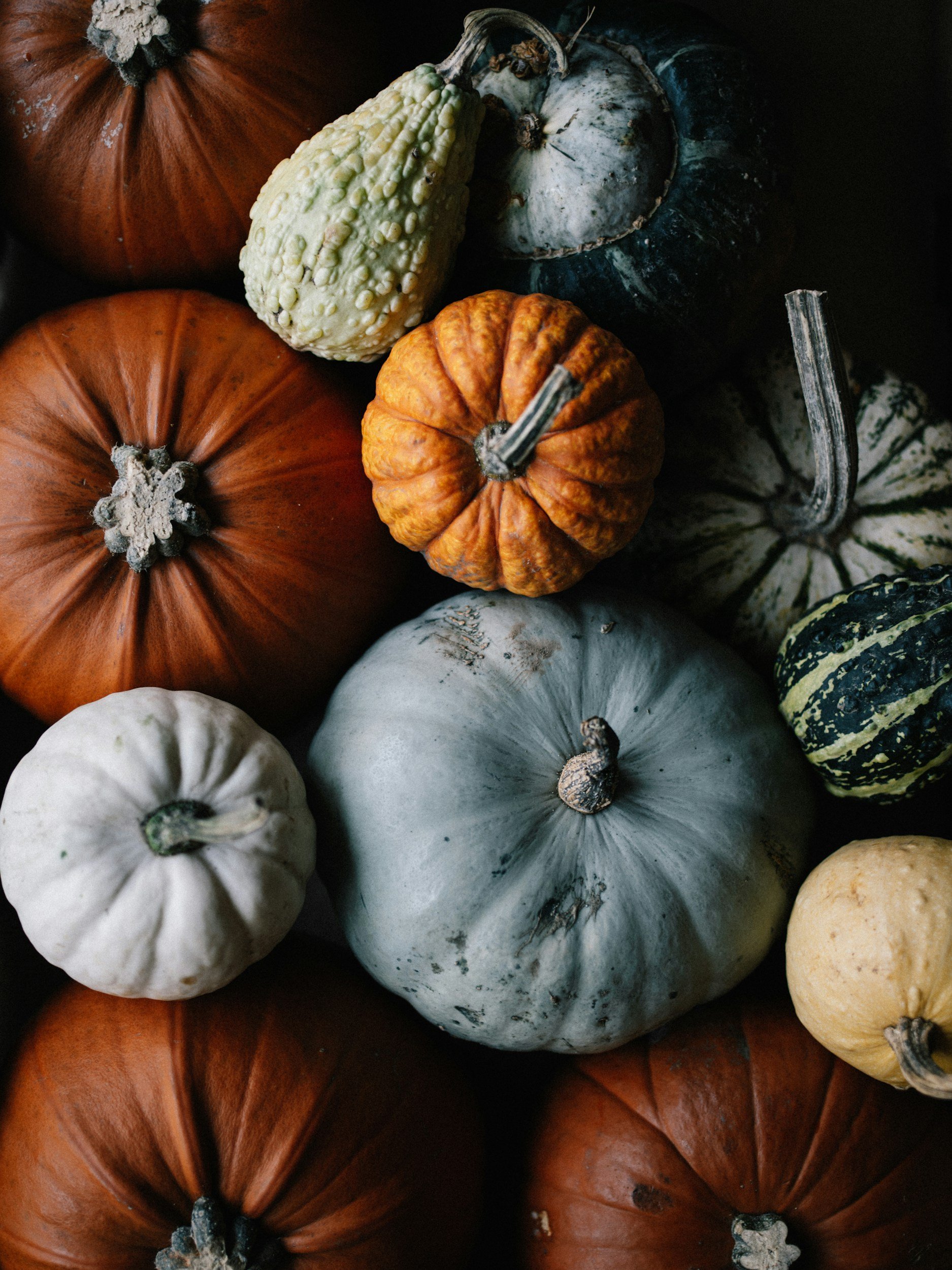 Pumpkin Patch Open 