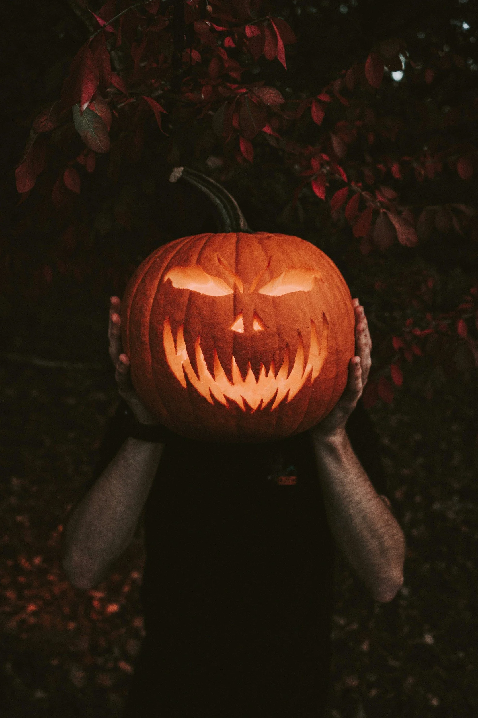 Pumpkin Patch Open