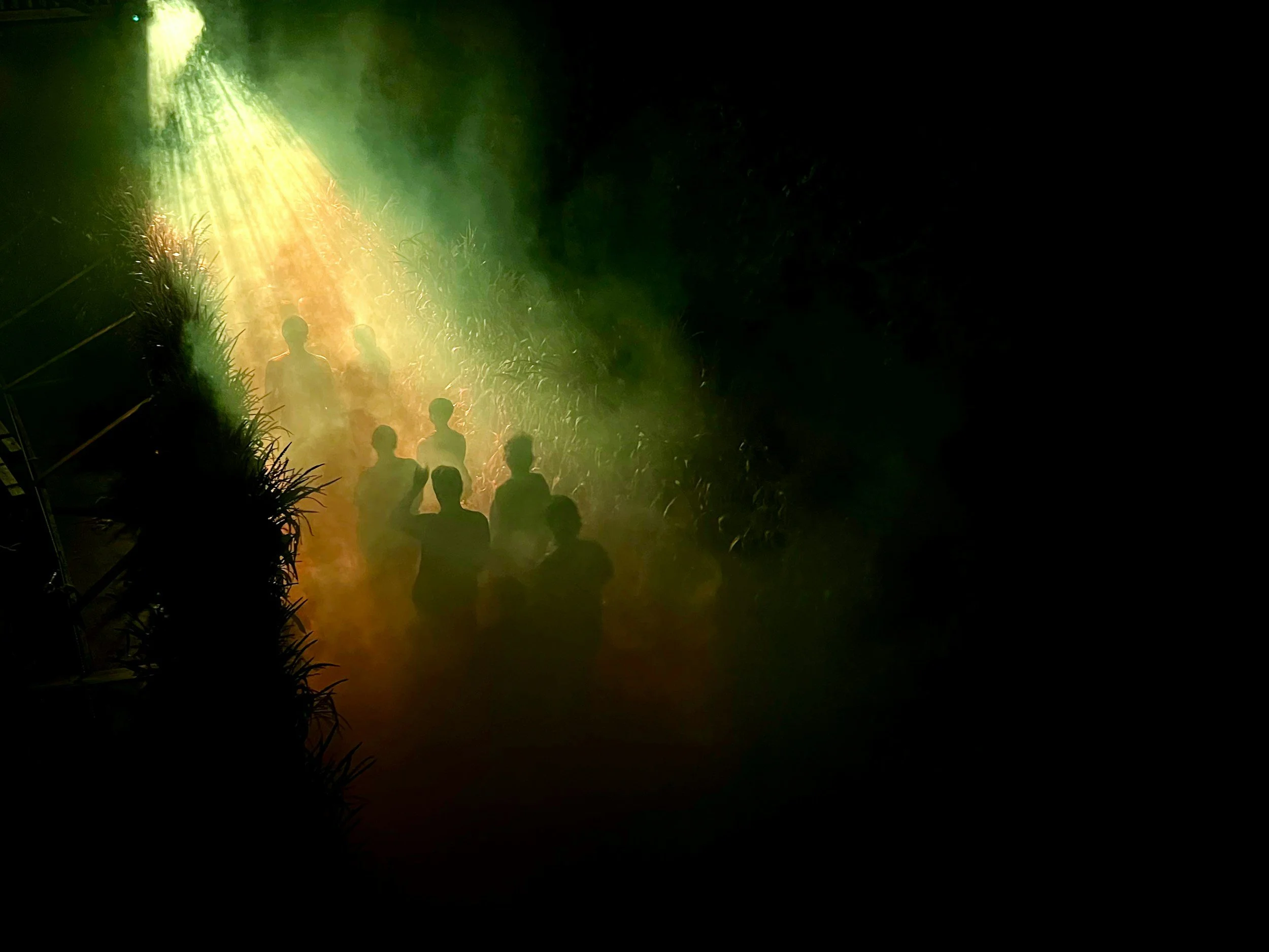 Haunted Maze Open