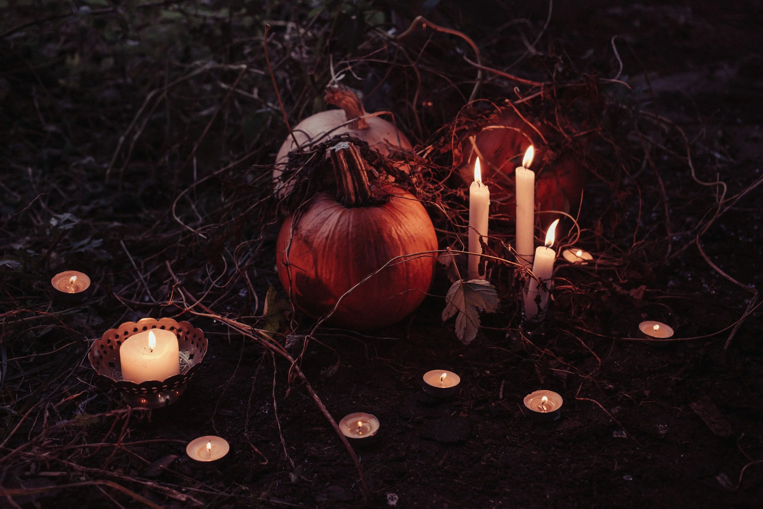 Haunted Maze Open