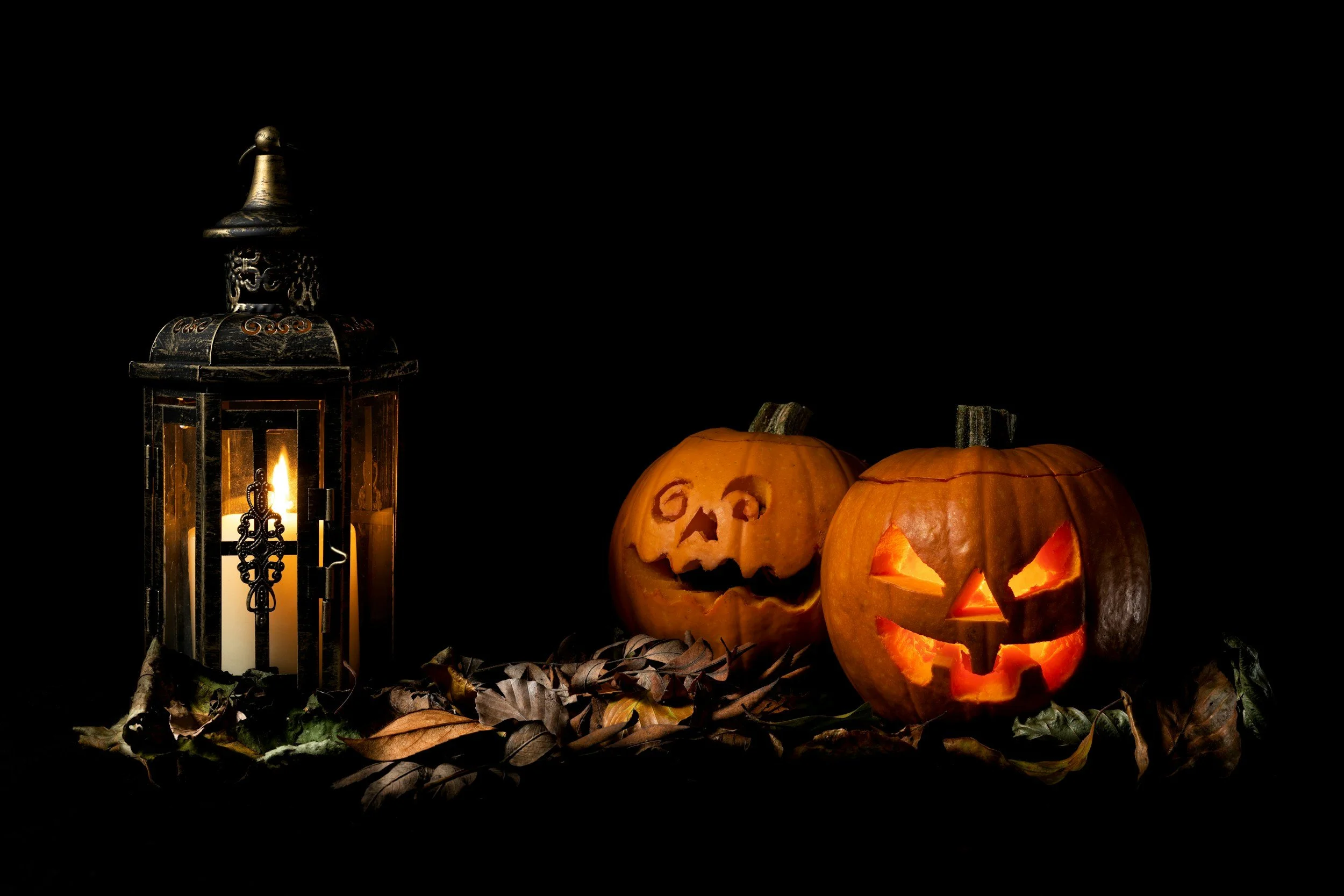 Pumpkin Patch Open