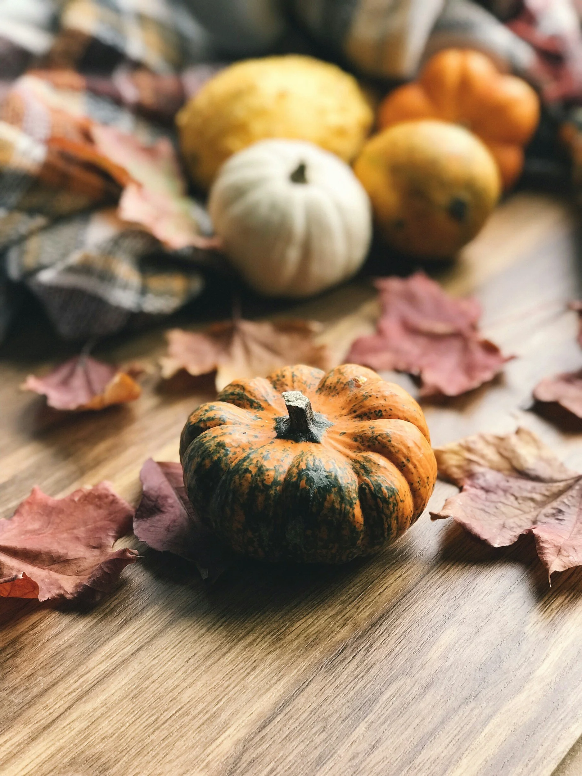Pumpkin Patch Open