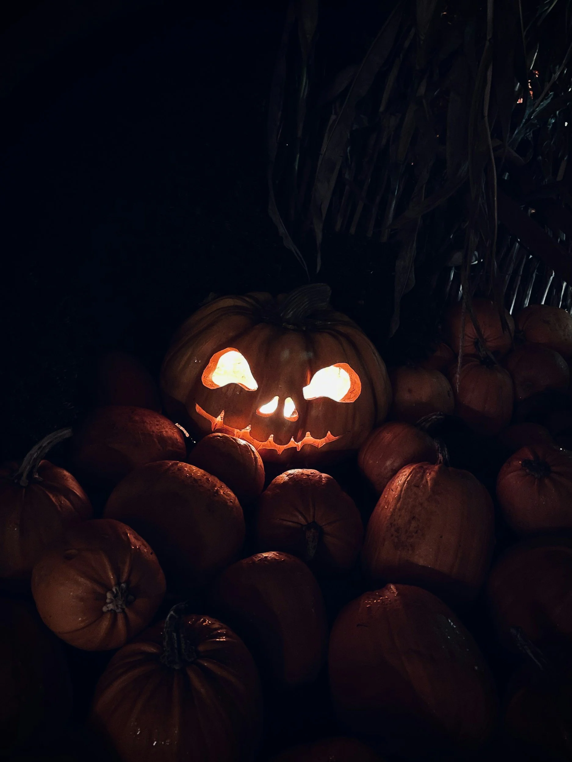 Haunted Maze Open