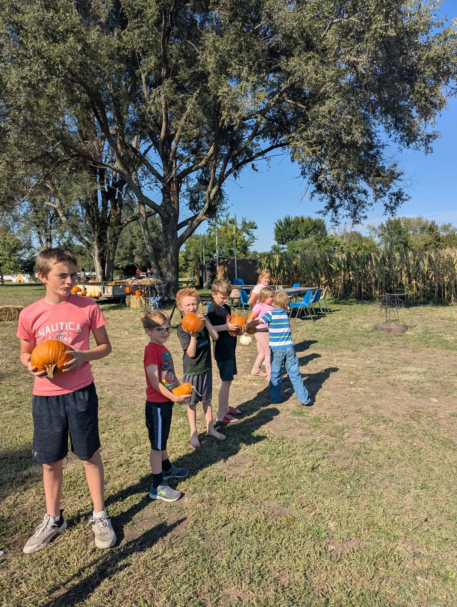 Children holding pumpkins in a line outdoors near a large tree, with chairs and a table in the background on a sunny day.