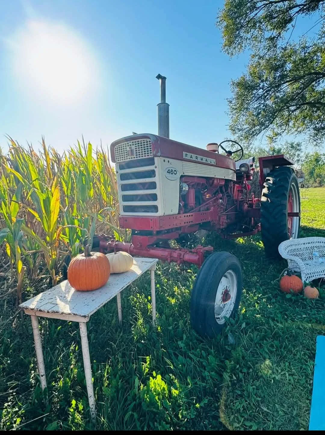 Pumpkin Patch Open