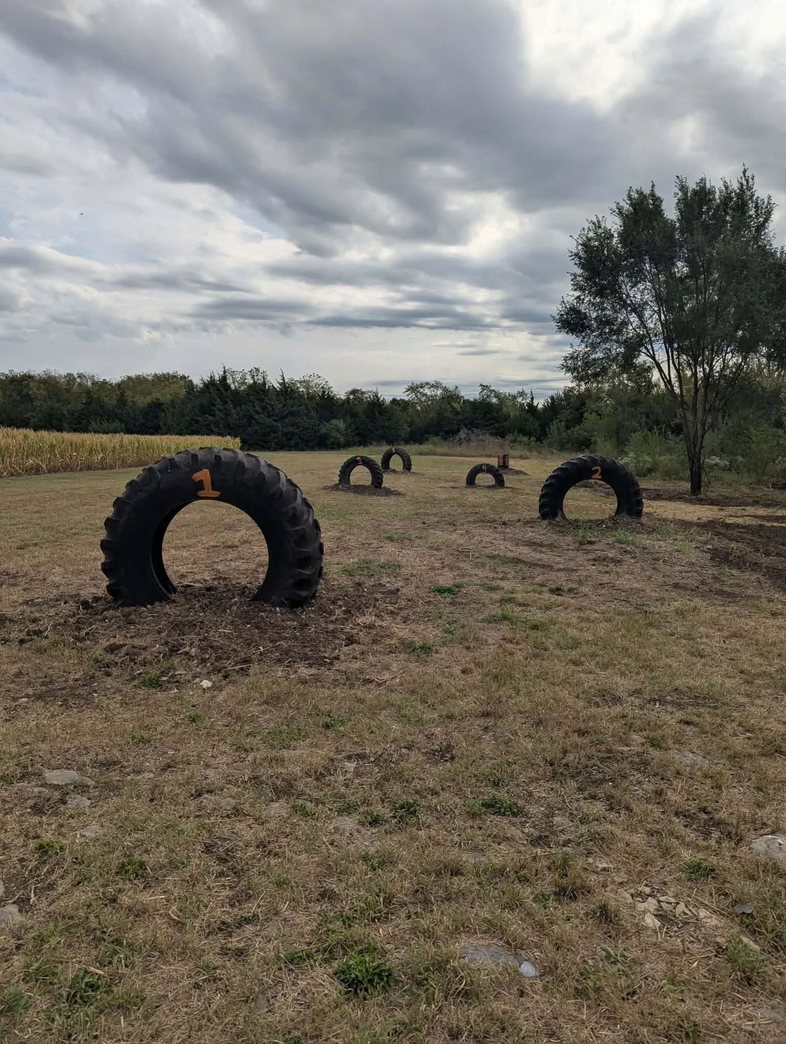 An outdoor exercise area with large black tires numbered 1 through 4, arranged in a semi-circle on a grassy field. There are trees and a farm field in the background under a cloudy sky.