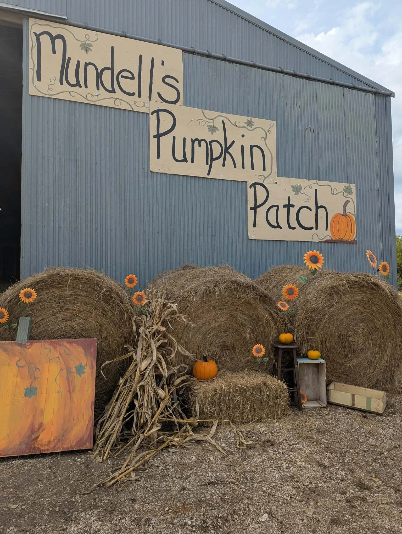 A sign on a gray metal building reads 'Mandel's Pumpkin Patch'. The scene includes hay bales, small pumpkins, sunflower decorations, and dried corn stalks, creating a fall-themed display.