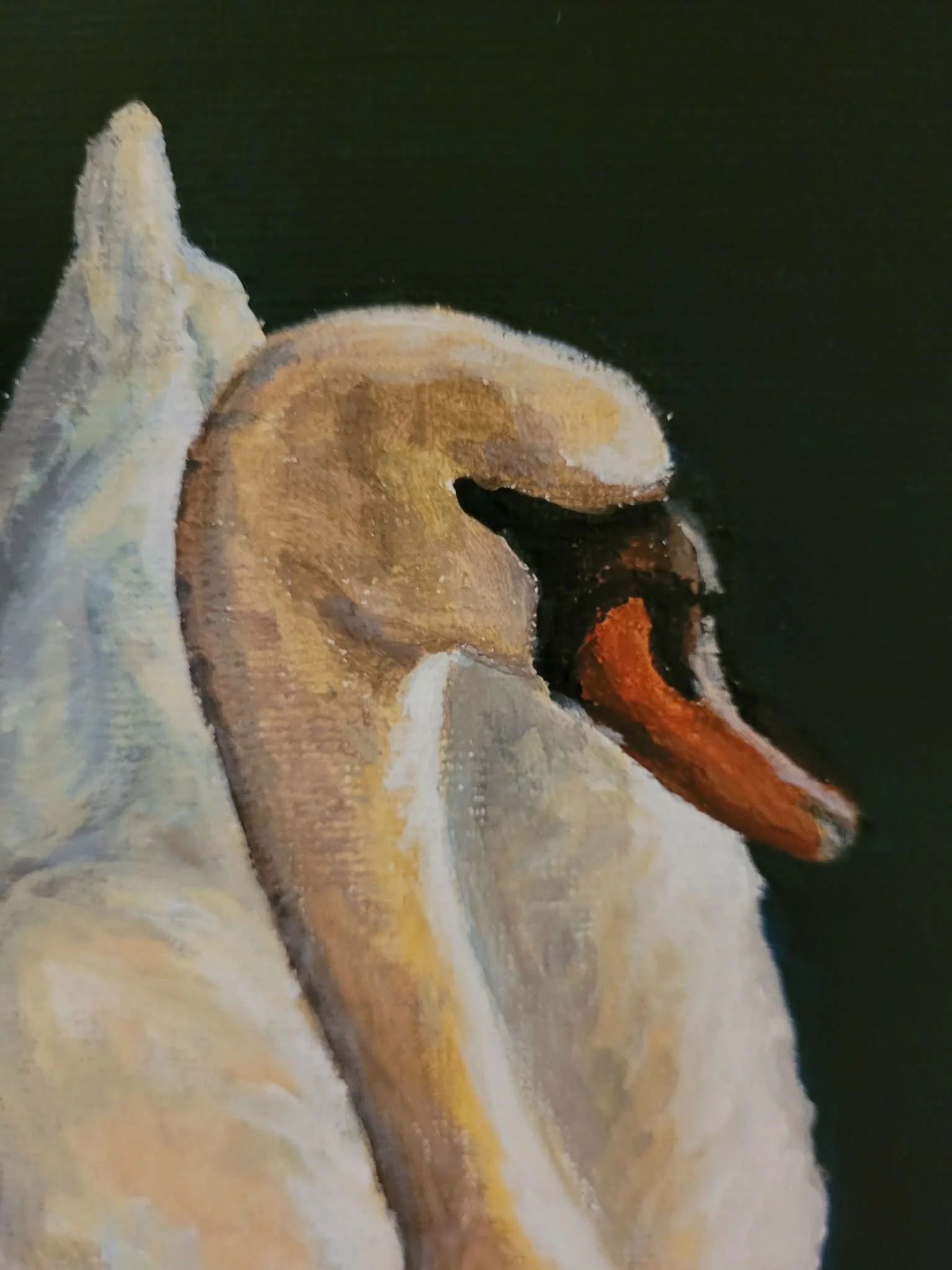 A painted image of a swan with detailed feathers, a long curved neck, and a beak, set against a dark background.