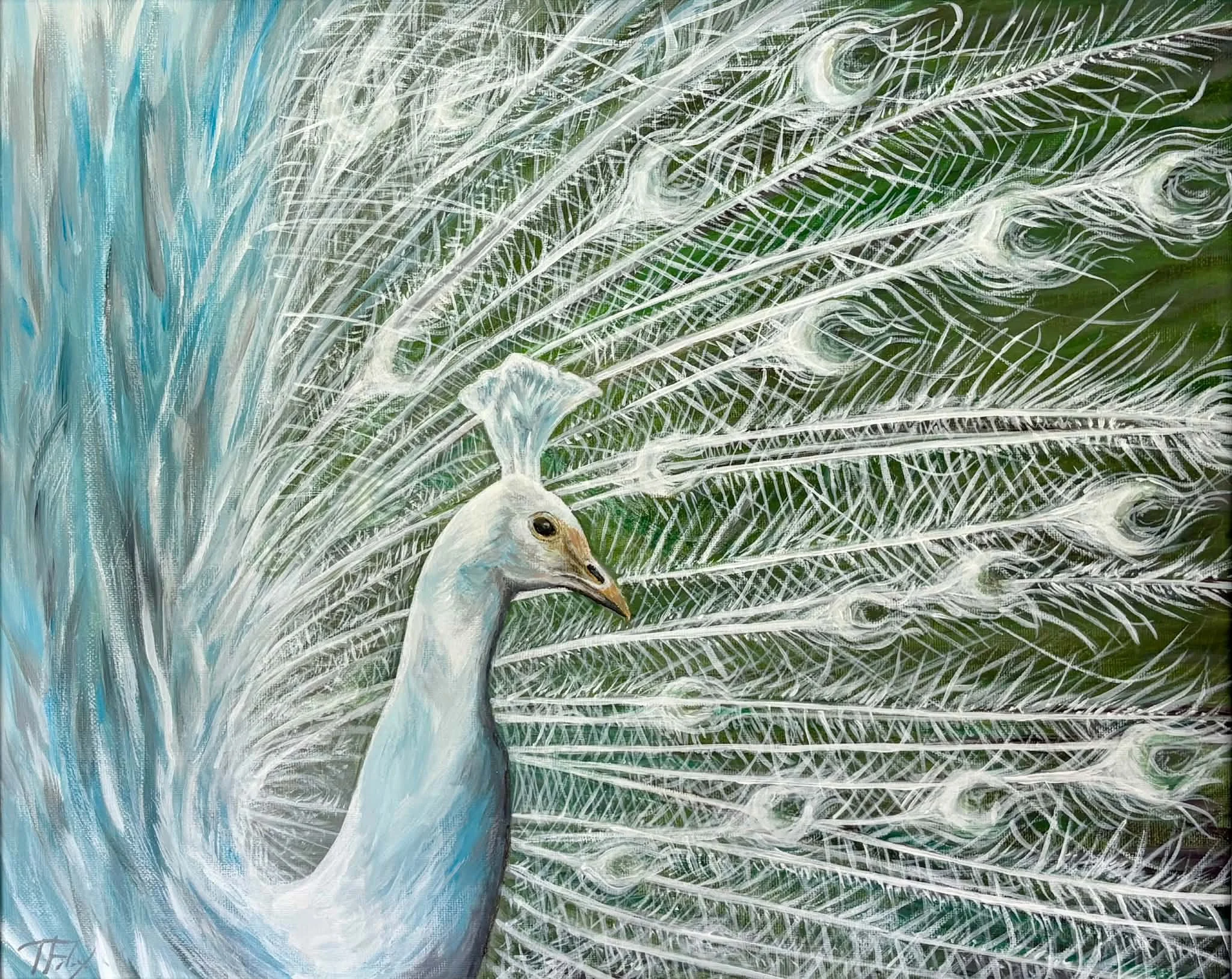 A close-up painting of a peacock, showing detailed white outlines of its feathers with a hint of blue and green background.