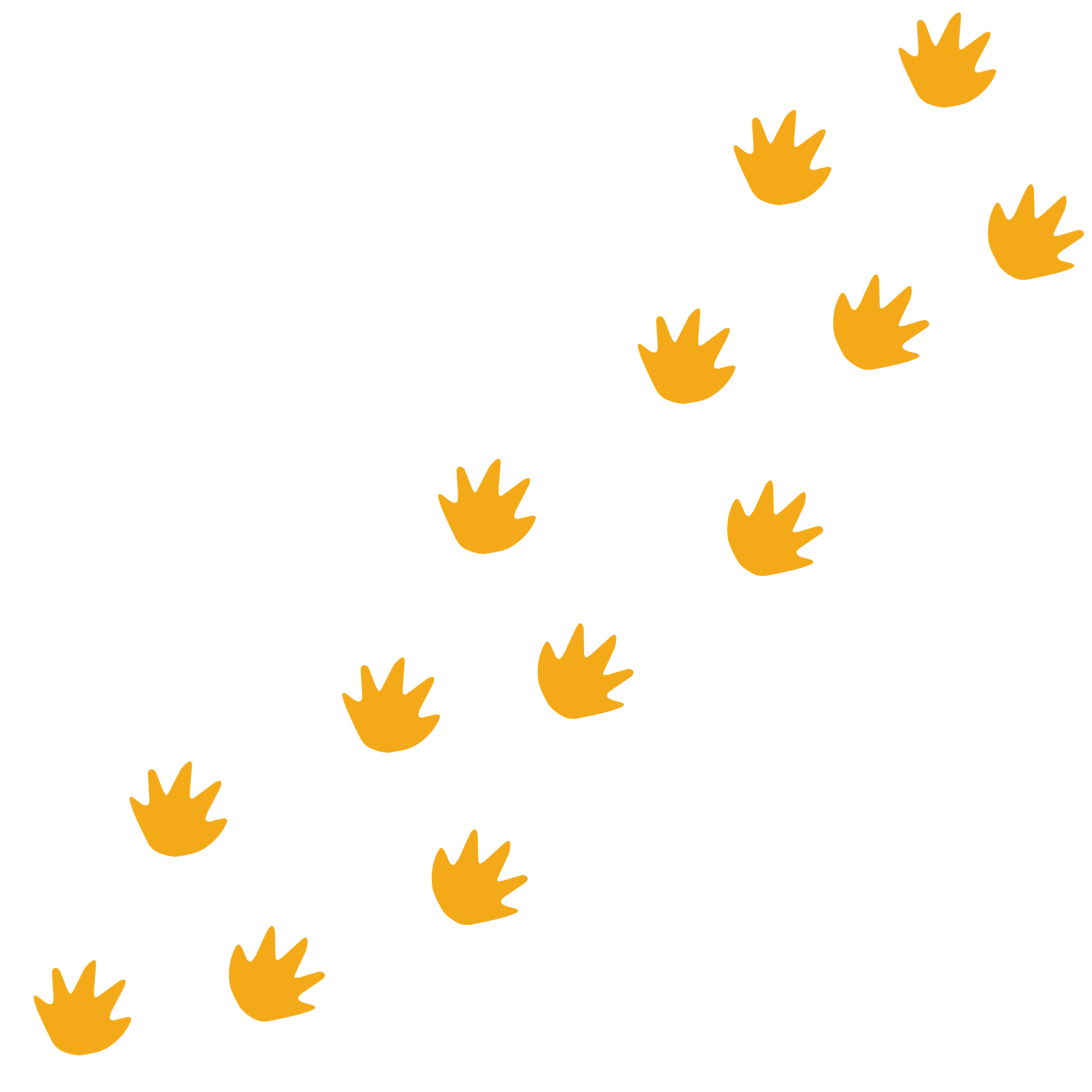 Black background with orange paw prints scattered across, with text in red saying 'happy paw-tern' and a small paw print in the dot of the 'i'.