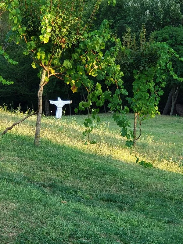 francois-vespers_orig.jpg