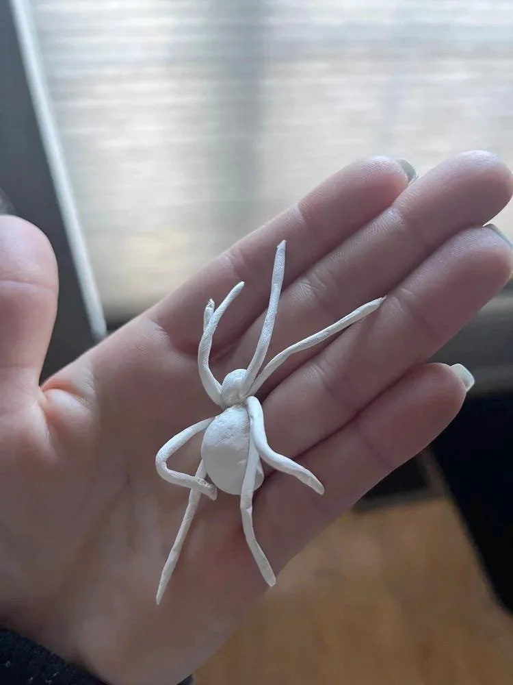 https://i.etsystatic.com/30316828/r/il/88d9ac/7648757390/il_fullxfull.7648757390_e987.jpg