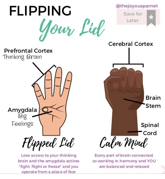 Have you ever reacted in a way that felt out of character, or even illogical? Have you felt frustrated with your child for doing something they know is wrong? Often, that comes down to a trigger: something that sparks big feelings and &ldquo;flips th