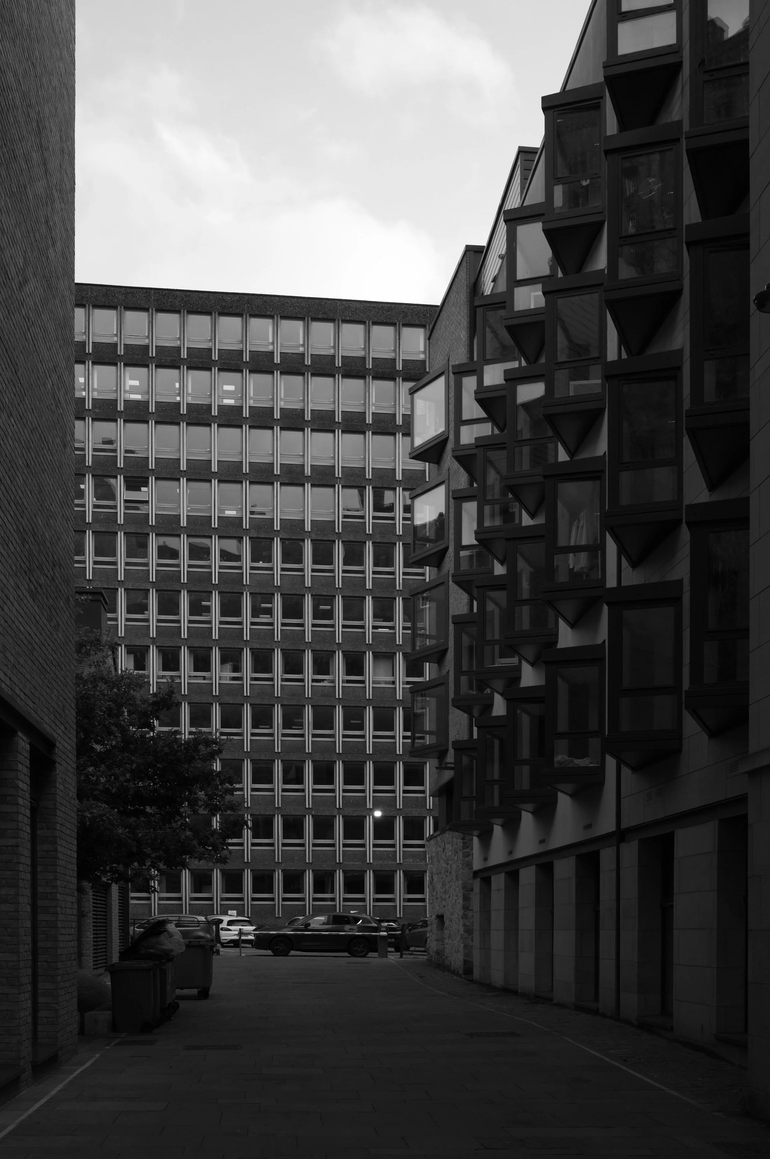 L1000286.jpg