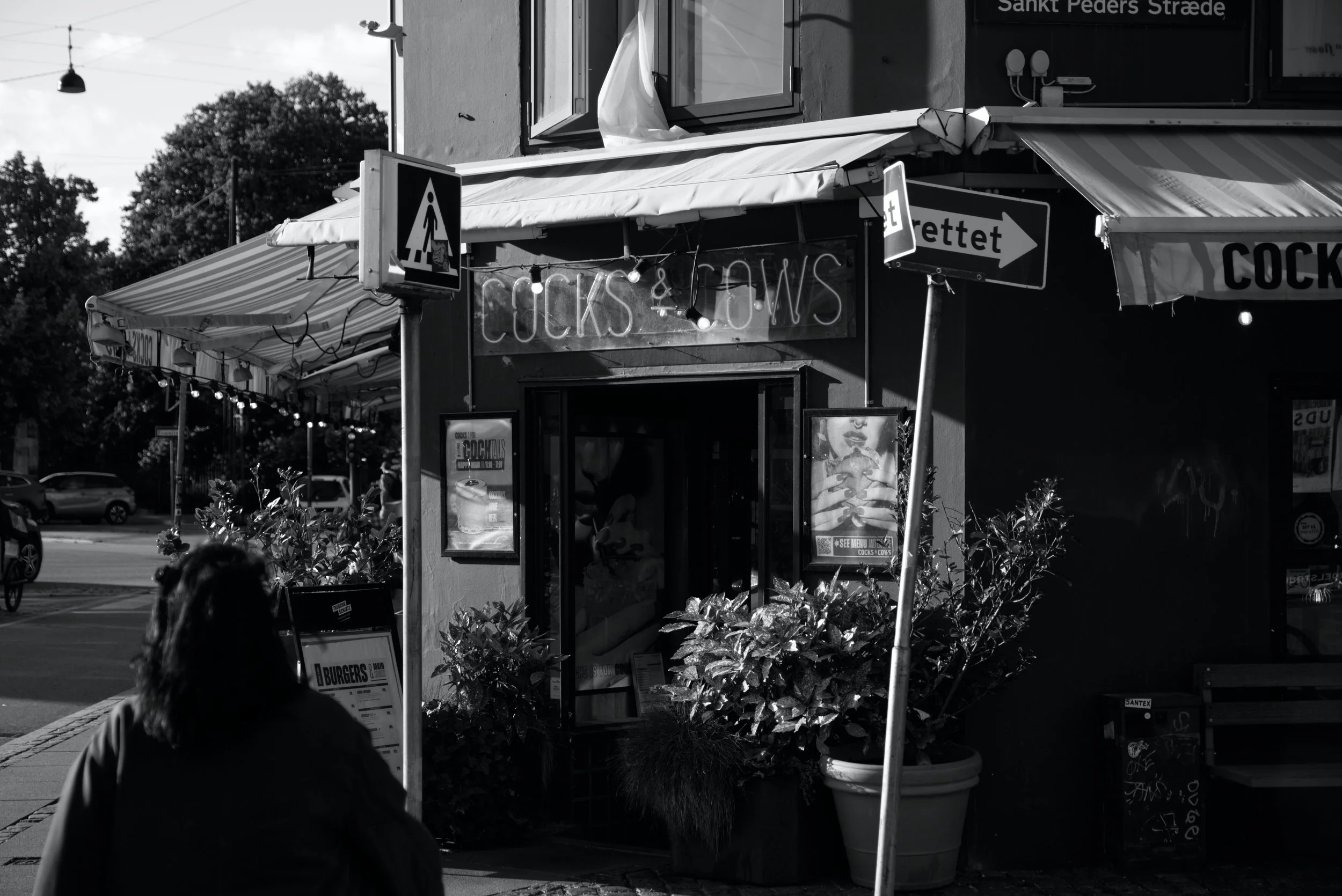 _DSF7528bw.jpg