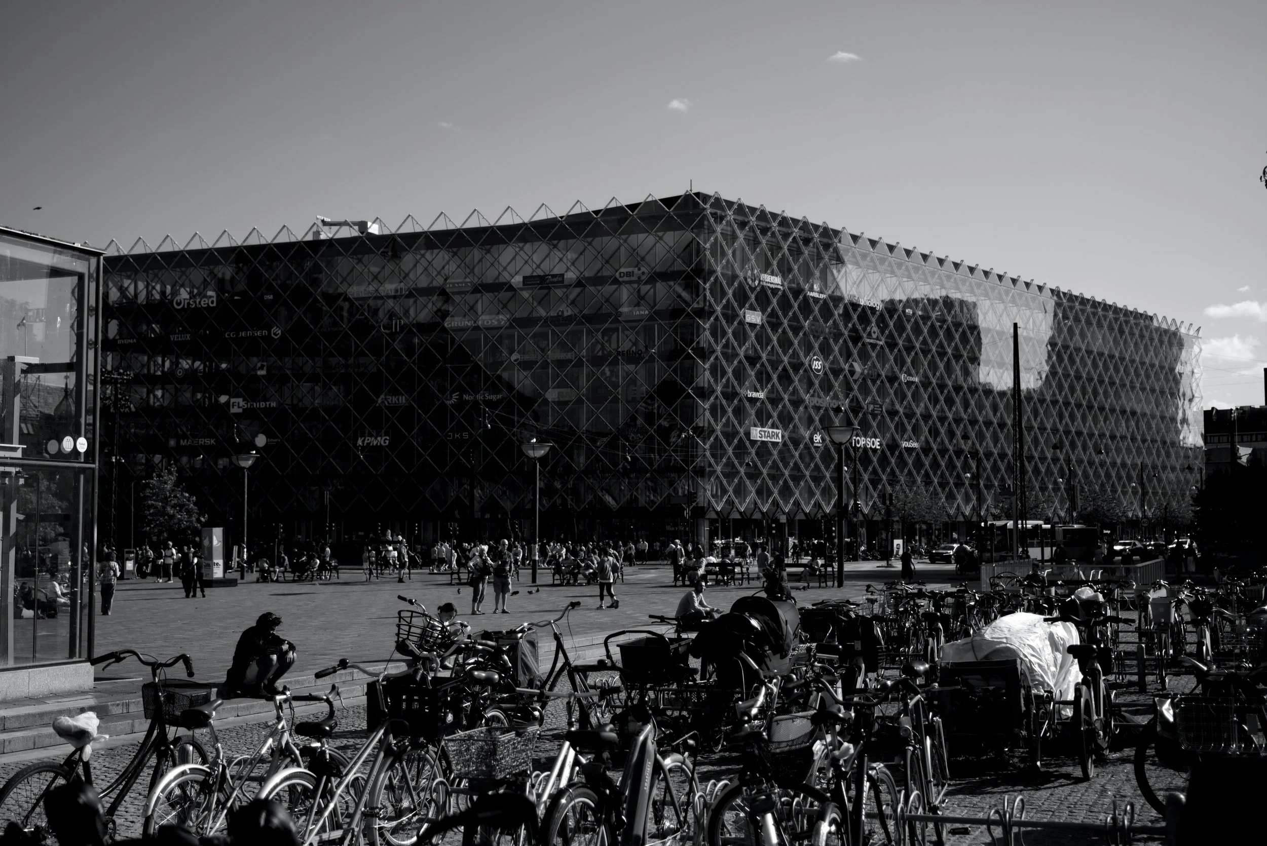 _DSF7503bw.jpg
