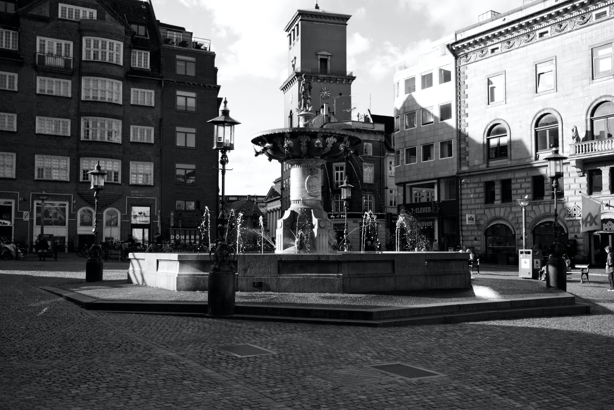 _DSF7513bw.jpg