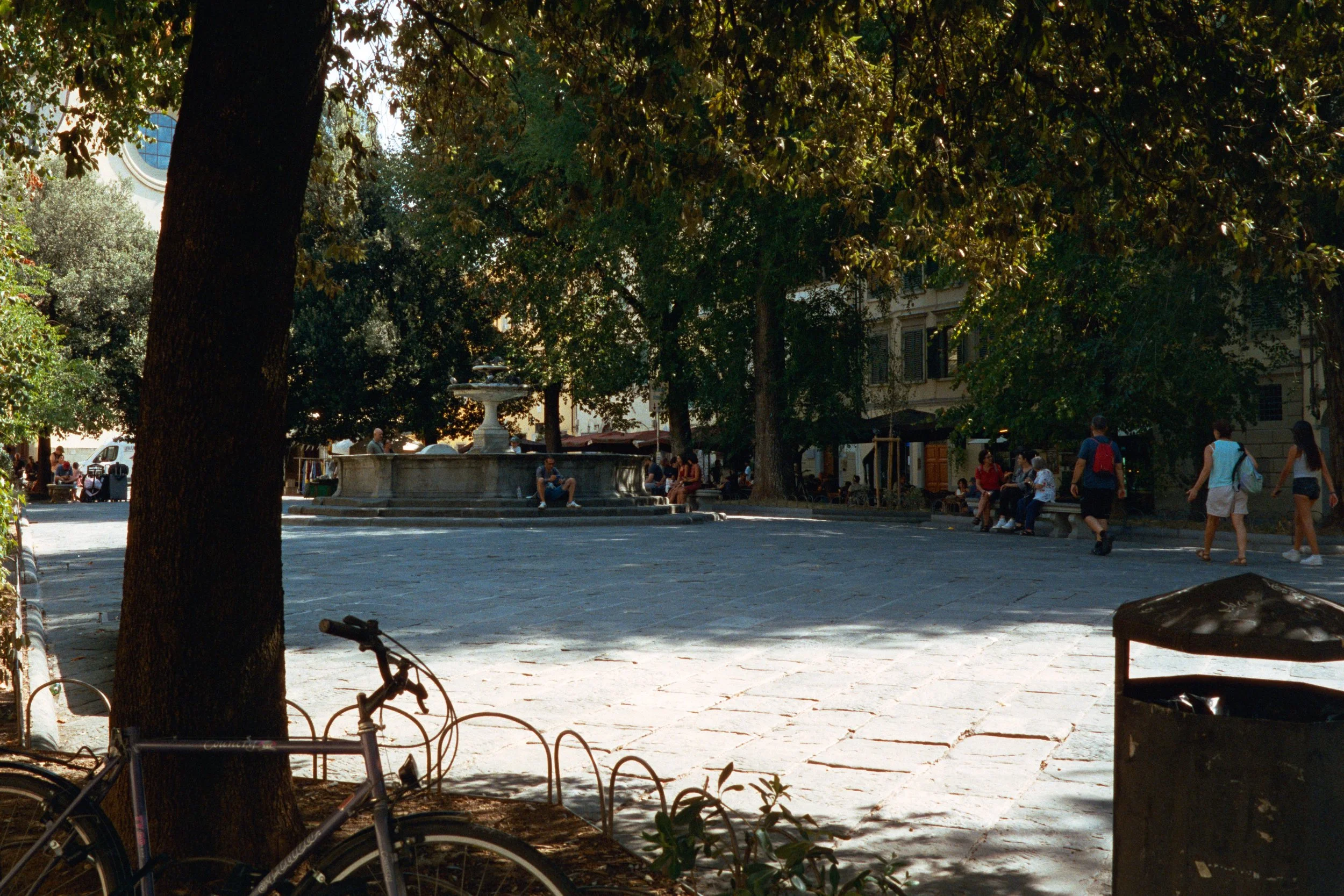 _DSN3845.jpg