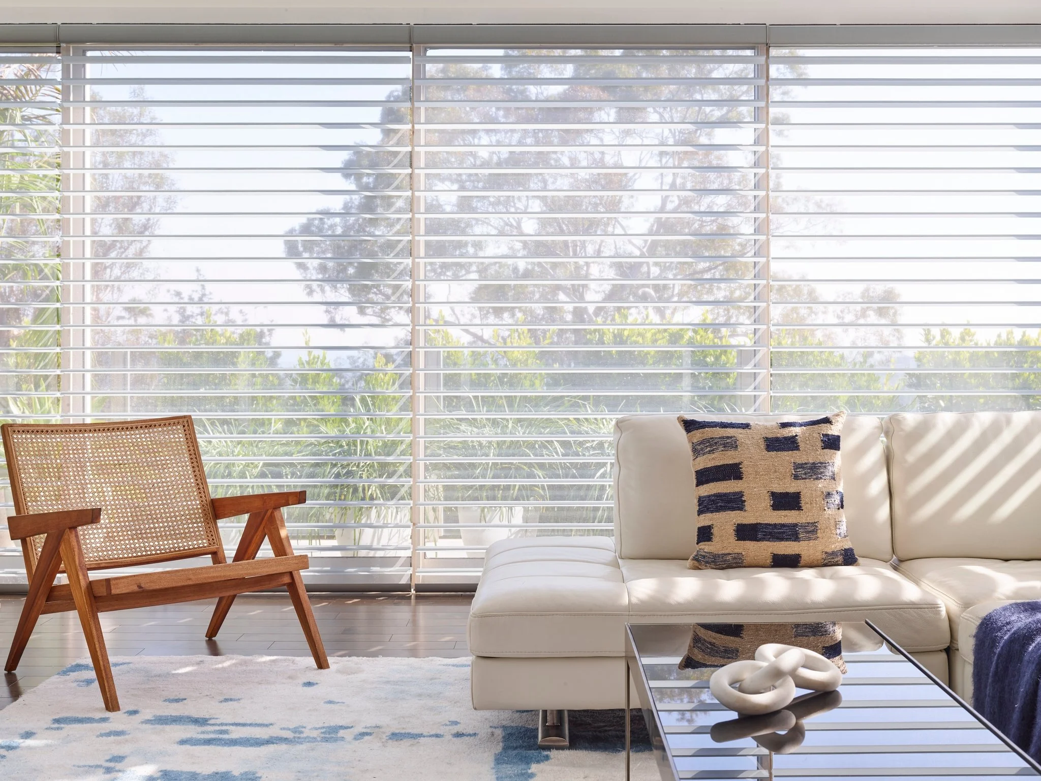 Silhouette Window Shadings (5).jpg