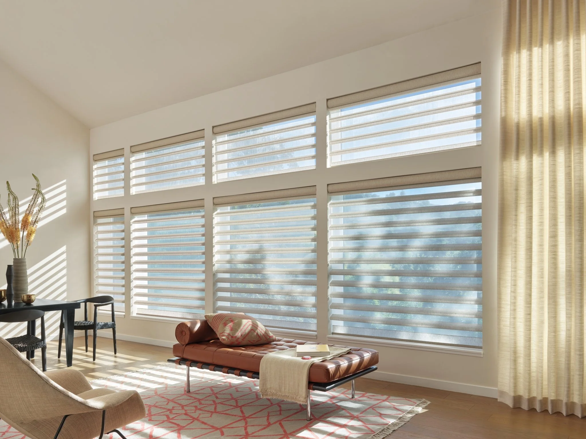 Pirouette Window Shadings (4).jpg
