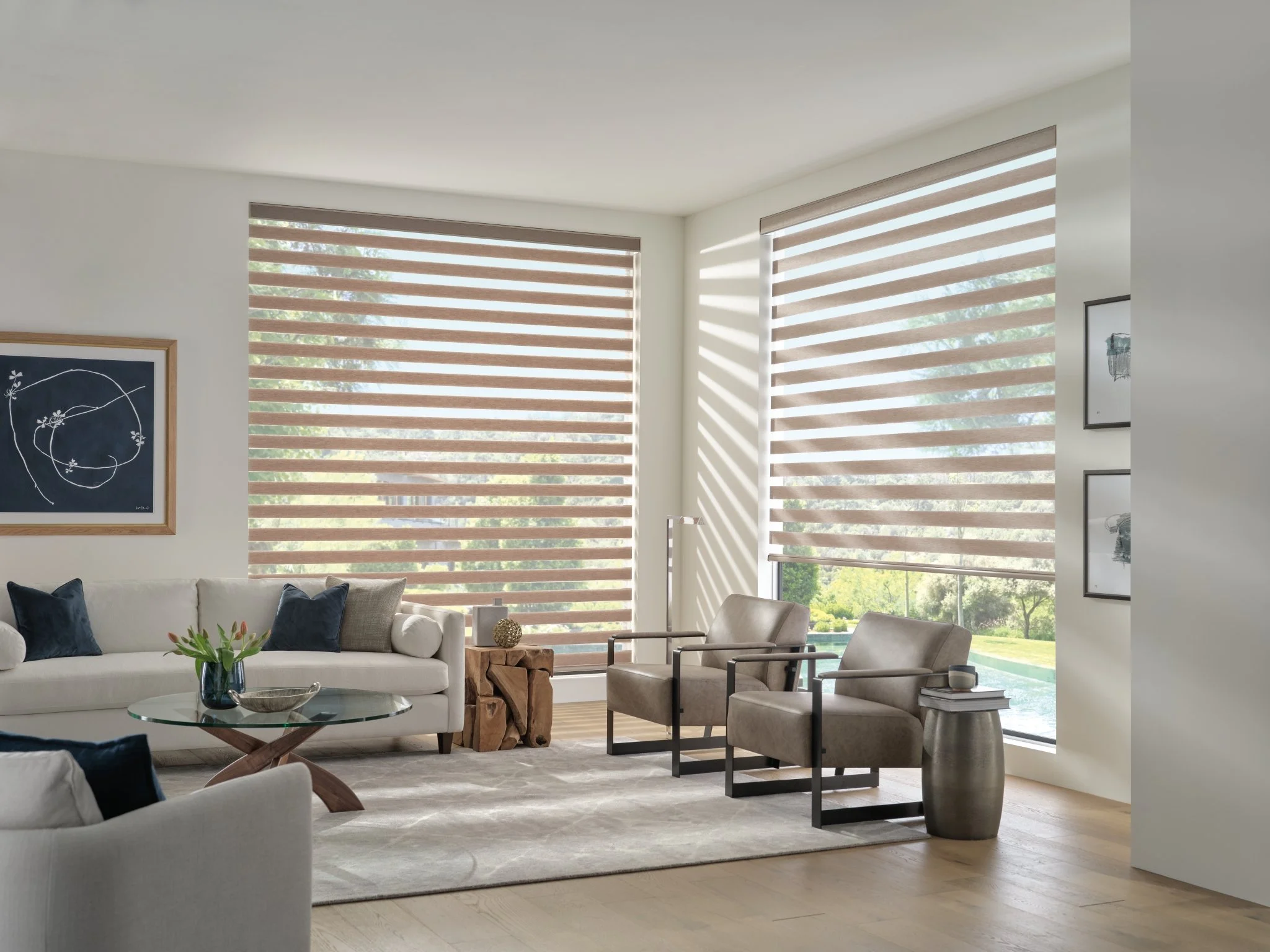 Designer Banded Shades (1).jpg