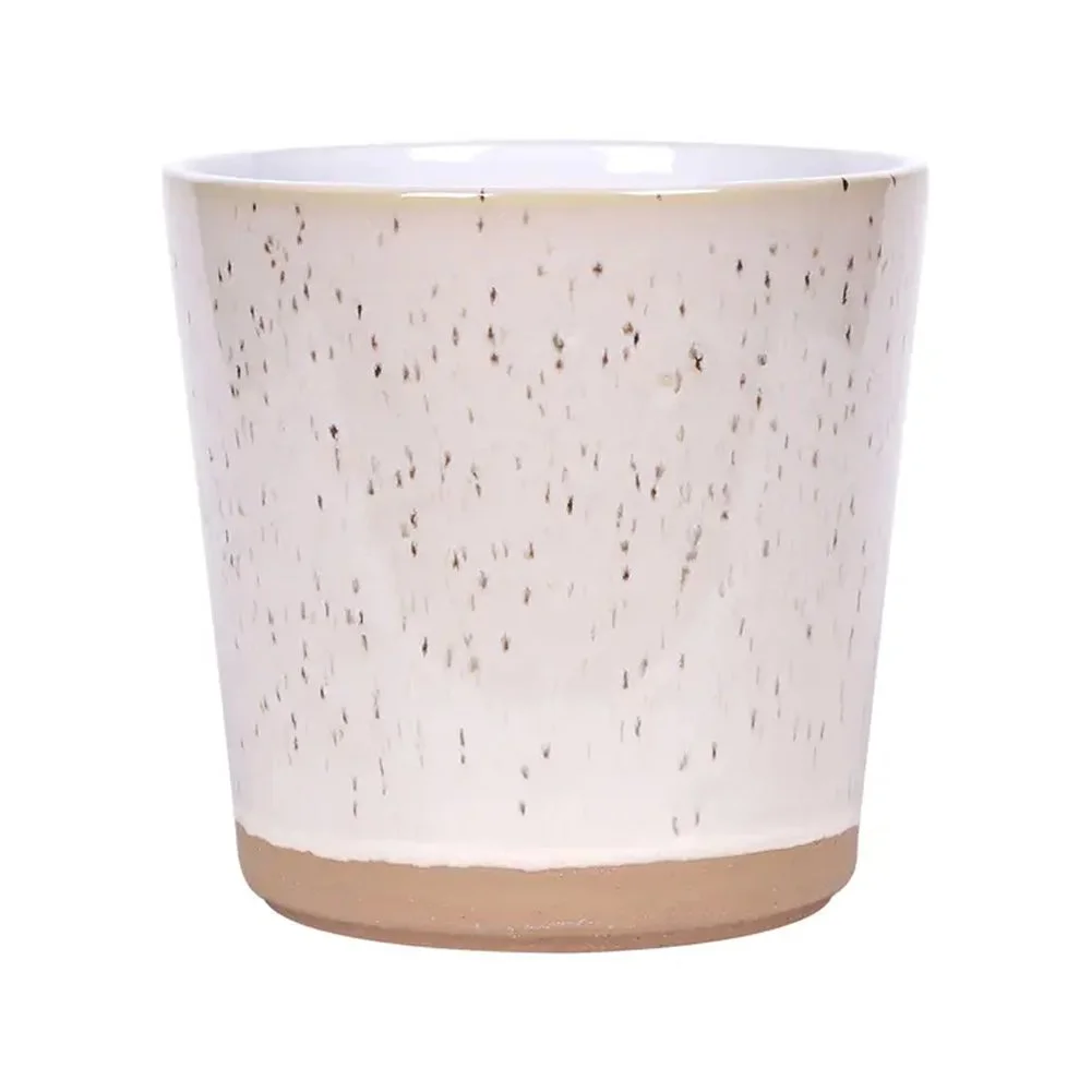 speckle 4 inch planter.jpg