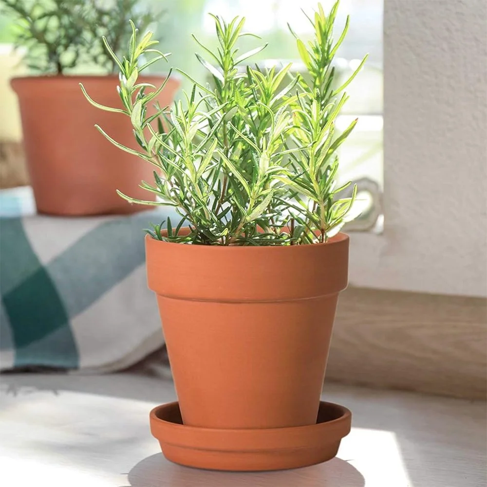 5 inch tc planter & saucer 01.jpg