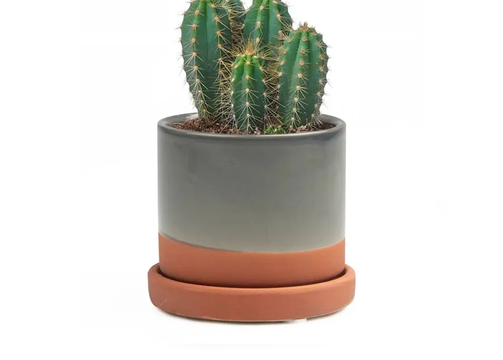 grey terracotta 3 inch planter.jpg