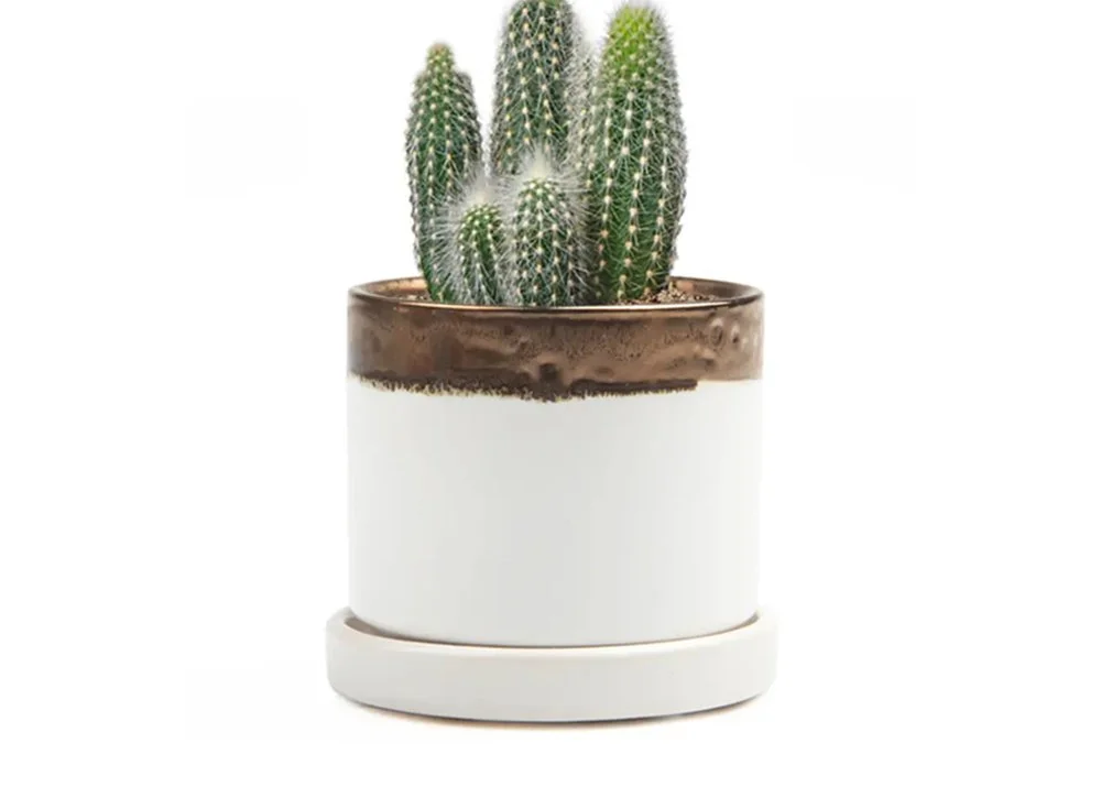 bronze white 3 inch planter.jpg