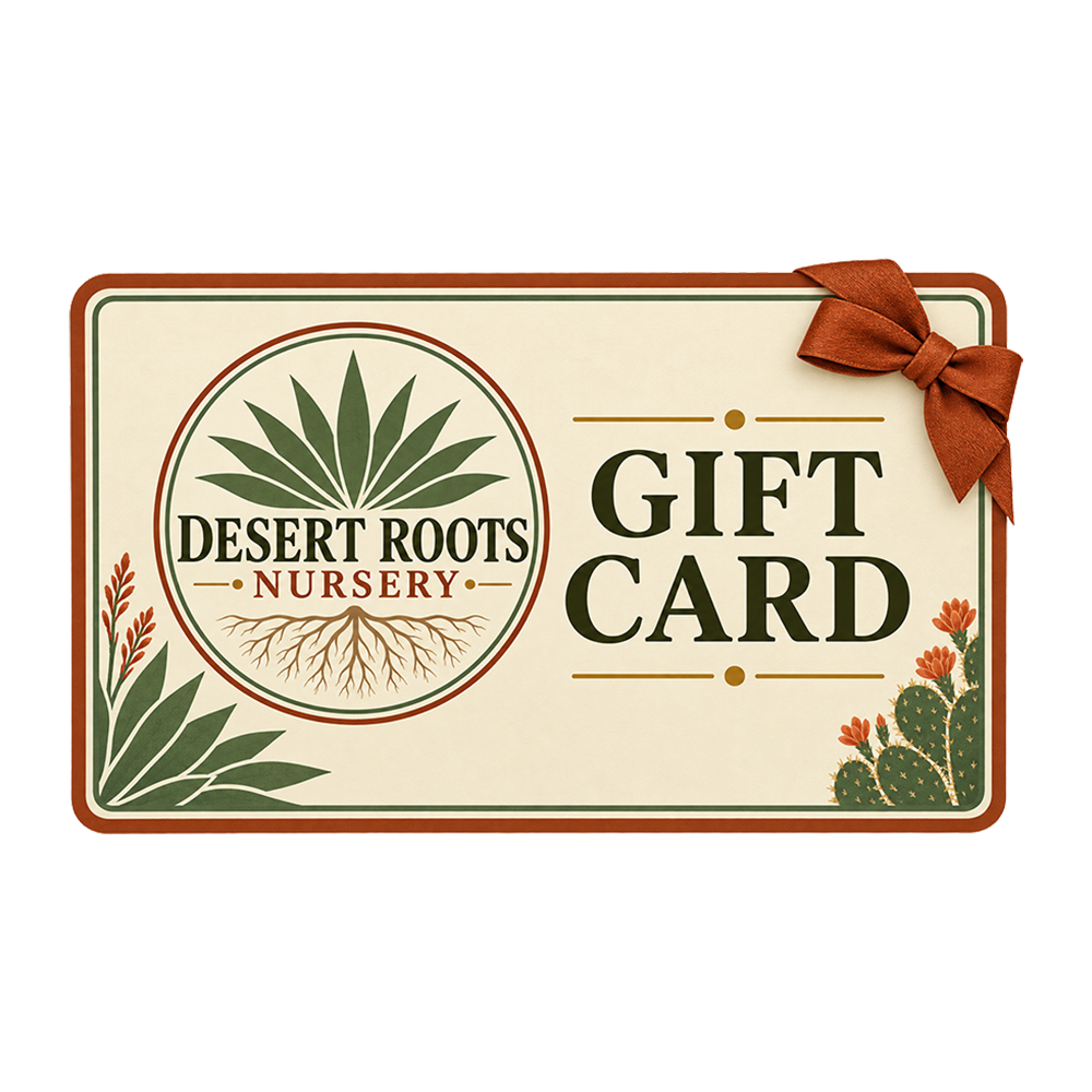 Give the Gift of Desert Beauty